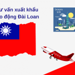 Mức lương công xưởng trung bình của lao động Việt Nam đi Đài Loan